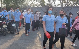 Doanh nghiệp trốn đóng BHXH hết thời "mưu mẹo"