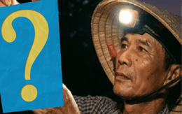 Nửa đêm thu hoạch, rạng sáng xuất khẩu: Loại quả này của Việt Nam đang được Trung Quốc săn đón đặc biệt