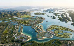 Vinhomes sẽ làm “Làng Đại học” tại siêu dự án ven biển  18 tỷ USD đón 30.000 sinh viên trong nước và quốc tế