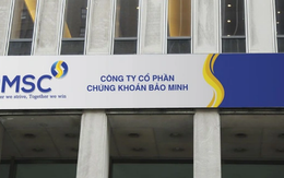 Chứng khoán Bảo Minh chốt ngày phát hành hơn 11 triệu cổ phiếu trả cổ tức