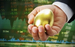 VinaCapital: Hơn 70% số cổ phiếu đang ở vùng định giá thấp như các giai đoạn khủng hoảng