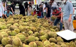 Mua sầu riêng non 'giải cứu' ven đường ở TP.HCM, người tiêu dùng lãnh đủ
