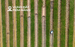 Toàn cảnh khu vực rộng gấp 6 lần phường Hoàn Kiếm, từng là nơi sinh sống của gần 250.000 người dân Hà Nội...sắp được làm siêu dự án chưa từng có