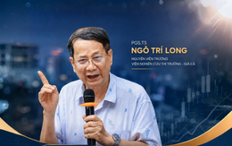 PGS.TS Ngô Trí Long: Đừng chỉ hỏi bất động sản có tăng giá hay không, hãy hỏi tài sản đó tạo ra giá trị gì