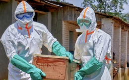 Nguy cơ tái diễn thảm kịch Ebola 2014: WHO cảnh báo số ca mắc tăng vọt