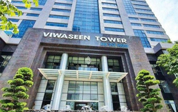 Công ty chưa đầy một tuần tuổi muốn mua gần 25% cổ phần Viwaseen