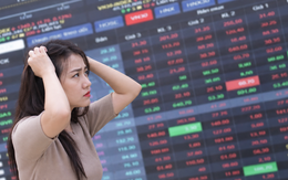 Điều gì khiến VN-Index rơi tự do gần 50 điểm, chính thức thủng mốc 1.800 điểm?