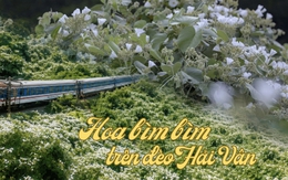 Việt Nam có cung đường đang xảy ra hiện tượng "tuyết mùa hè" phủ trắng đèo đẹp như phim