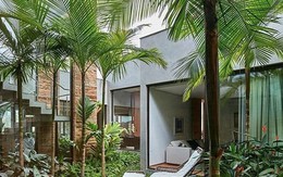 Vì sao người xưa dạy trồng "cau trước, chuối sau"?