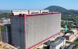 Hà Nội nghiên cứu tổ hợp chăn nuôi lợn cao tầng tại 3 xã