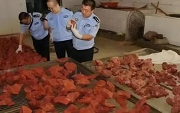 Theo dõi suốt 2 tháng, phanh phui đường dây sản xuất thịt giả doanh thu 19 tỷ đồng, thu giữ 2,2 tấn thịt chất thành "núi"