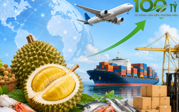 Việt Nam và bài toán xuất khẩu nông sản 100 tỷ USD: ‘Không có chính sách xóa đói giảm nghèo nào tốt hơn việc đưa 9 triệu hộ nông dân nhỏ lẻ ra thẳng thị trường quốc tế’