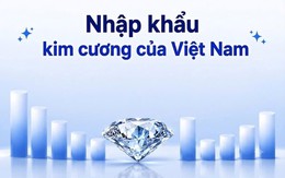 PNJ chỉ mua kim cương từ Hong Kong và Thái Lan: Cục Hải quan hé lộ quy mô nhập khẩu kim cương của Việt Nam