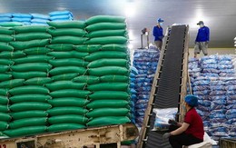 Việt Nam đón tin vui lớn từ Iraq