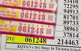 TP.HCM: 10 cô giáo tiểu học mỗi người nhận 2 tỷ đồng