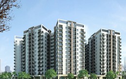 Đề xuất miễn tiền đất, vay vốn siêu rẻ làm nhà cho thuê