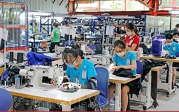 Khuyến nghị chiến lược từ WB khi Việt Nam lên nhóm thu nhập trung bình cao
