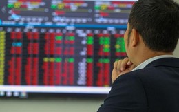 Dragon Capital gọi tên ba nhóm cổ phiếu sáng cửa nửa cuối năm, một nhóm được kỳ vọng lợi nhuận tăng 100%