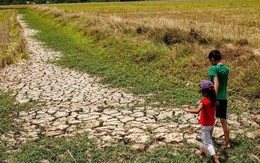 Gã khổng lồ ngành điện dự báo nhận được 1.600 tỷ 'từ trên trời rơi xuống'