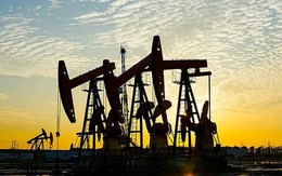 Giá dầu tăng 10%, mạnh nhất sau 6 năm sau khi ông Trump tái áp đặt lệnh phong tỏa Iran