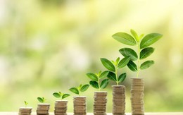 Giải pháp thúc đẩy dòng vốn xanh đến tận hộ gia đình, doanh nghiệp: Bài học từ kinh nghiệm quốc tế