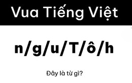 Ai mới là 'vua tiếng Việt' trước câu đố cực khó này?