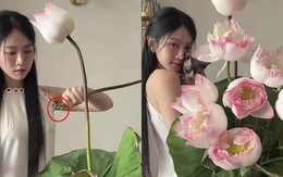 Lê Bống cắm hoa sen “chọc giận” 1 triệu người