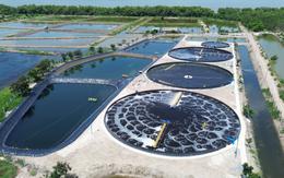 Việt Nam có một "mỏ vàng" dưới nước trị giá tỷ USD: Được làm theo cách chưa từng có