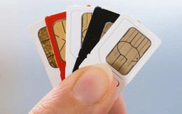Thuê bao cố tình sử dụng SIM không chính chủ có thể bị phạt tiền lên tới   50 triệu đồng