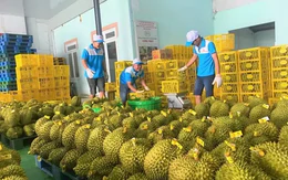 Yêu cầu 'hỏa tốc' thông quan cho nông sản