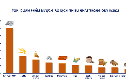Thị trường giao dịch hàng hóa quý II/2026: Bạc dẫn đầu thanh khoản