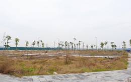 Đấu giá đất đã qua thời kỳ phải mua bằng mọi giá