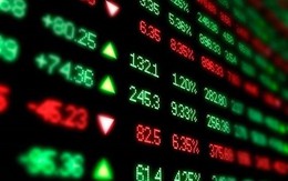 Chuyên gia VinaCapital chỉ cách đầu tư "không nhìn bảng điện" vẫn thu lợi nhuận hai chữ số