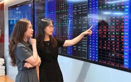 Chứng khoán Rồng Việt báo lãi sau thuế Quý 2/2026 gần 45 tỷ đồng