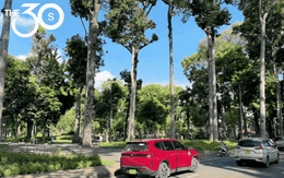 Cuộc sống của tôi dạo này gắn liền với đi bộ và nước lọc