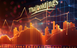 Thaiholdings miễn nhiệm một Phó Tổng Giám đốc