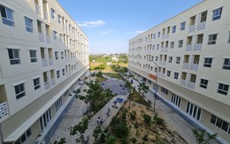 Mua nhà ở xã hội chưa đủ 5 năm đã cho thuê lại, chủ nhà có thể bị phạt đến 120 triệu đồng, thu hồi căn hộ