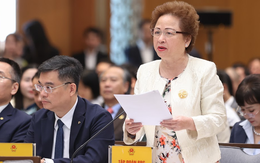 Thương mại toàn cầu biến động do thuế quan và đứt gãy chuỗi cung ứng, Chủ tịch BRG Nguyễn Thị Nga nêu giải pháp quan trọng để tăng sức chống chịu của nền kinh tế