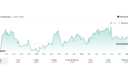 Tình hình bitcoin sau cú lao dốc 28%