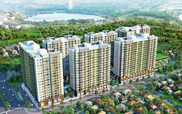 Hưng Thịnh Incons dự kiến phát hành cổ phiếu thưởng tỷ lệ 50%