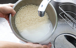 Vì sao nên cho muối vào trước khi vo gạo nấu cơm?