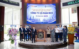 Miza niêm yết HoSE: Tham vọng dẫn dắt ngành giấy