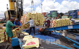 Xuất khẩu nông lâm thủy sản 6 tháng đầu năm đạt gần 36 tỷ USD
