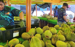 Quá nhiều sầu riêng, một đối thủ của Việt Nam tính mở tuyến đường bộ sang Trung Quốc để giảm chi phí, đang xuất khẩu 40 tấn mỗi ngày bằng máy bay
