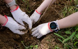 Chung tay kiến tạo tương lai xanh với 1.000 cây bản địa tại Khu bảo tồn thiên nhiên Núi Ông