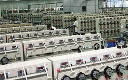 Một công ty trên sàn chỉ có 6 nhân sự báo lãi tăng trưởng 400%, chuẩn bị trả cổ tức 2.000 đồng/cp