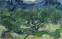 Phát hiện bí mật thú vị bị che lấp 128 năm khi soi kính hiển vi bức tranh nổi tiếng của Van Gogh