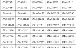 Công an đề nghị 250 chủ phương tiện vi phạm mang biển số sau nhanh chóng nộp phạt nguội theo Nghị định 168