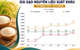 Thị trường hàng hoá 21/7: Gạo nguyên liệu nhích giá, cao su quốc tế duy trì sắc xanh