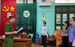 Bắt tạm giam, khám xét nơi làm việc của Chủ tịch Công ty phân bón Hà Bắc